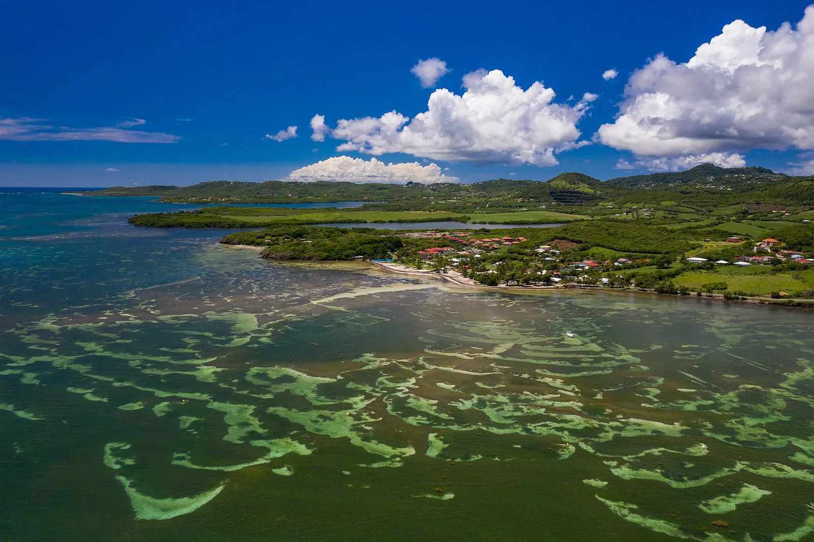 Vue aérienne des hauts-fonds pâles de la Baignoire de Joséphine face au littoral du François, Martinique