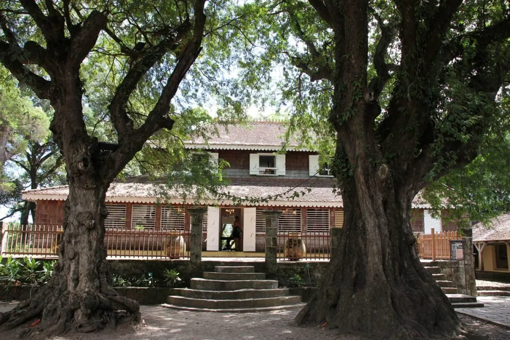 Façade à véranda de la maison de l'Habitation Clément encadrée par deux arbres centenaires, Martinique